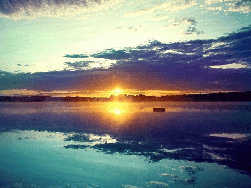 环孢素试管用量试管斜面菌落形态检查精子成活率费用